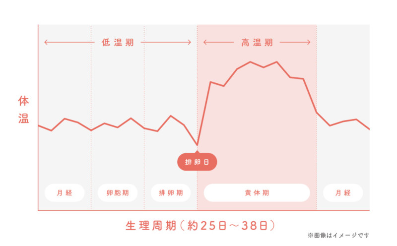 基礎体温ってなに 測らないといけないの Sai Journal サイジャーナル