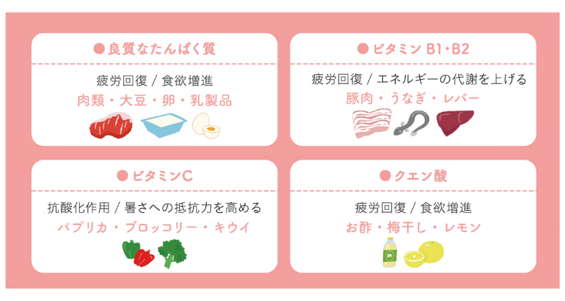 暑さに負けない!夏バテ対策のポイントを医師が解説します | sai+journal(サイジャーナル)